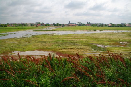 Védett kincsek - Székesfehérvár legújabb védett területeiről